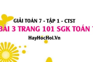 Giải bài 3 trang 101 Toán 7 Tập 1 SGK Chân trời sáng tạo